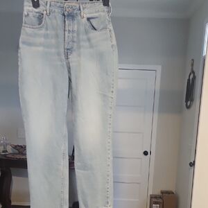 Everlane Light Wash Blue High-Rise Straight Jeans